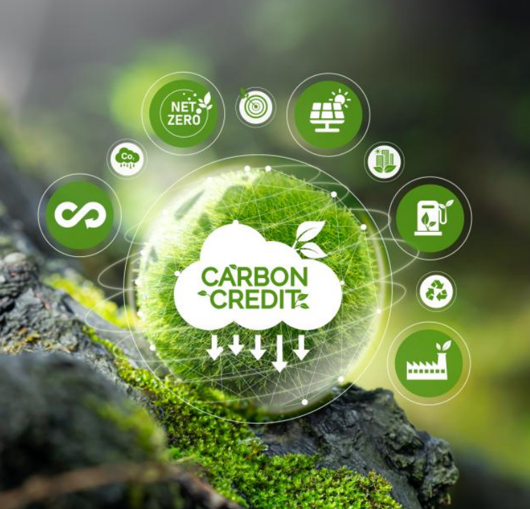 Service 3 Planet Carbon - Save the Planet