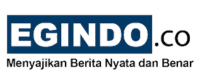 Logo egindo.co