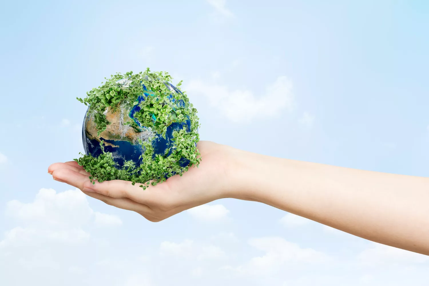 Planet Carbon: A Green Startup's Commitment to Achieving Net-Zero Emissions in Indonesia