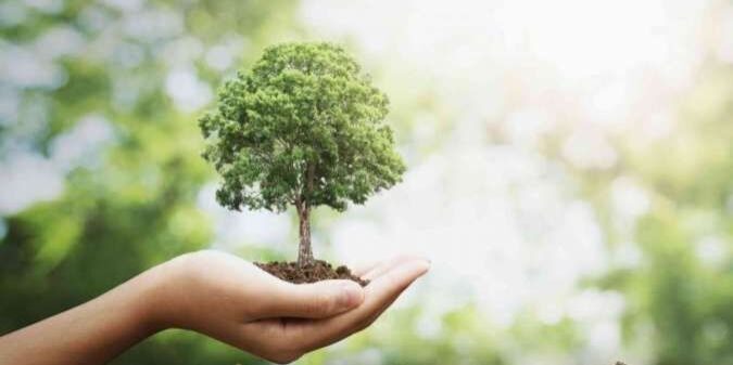 Planet Carbon, Perusahaan Rintisan Hijau Siap Dukung Indonesia Capai Net Zero Emission