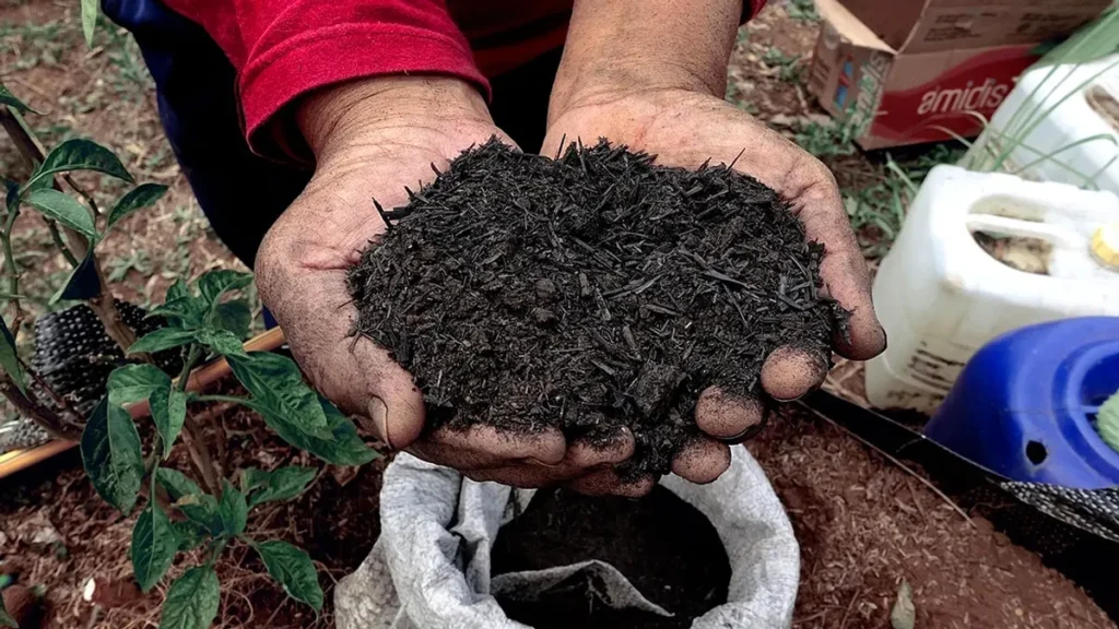 Startup Planet Carbon Solusi Inovatif Untuk Reduksi Emisi Karbon