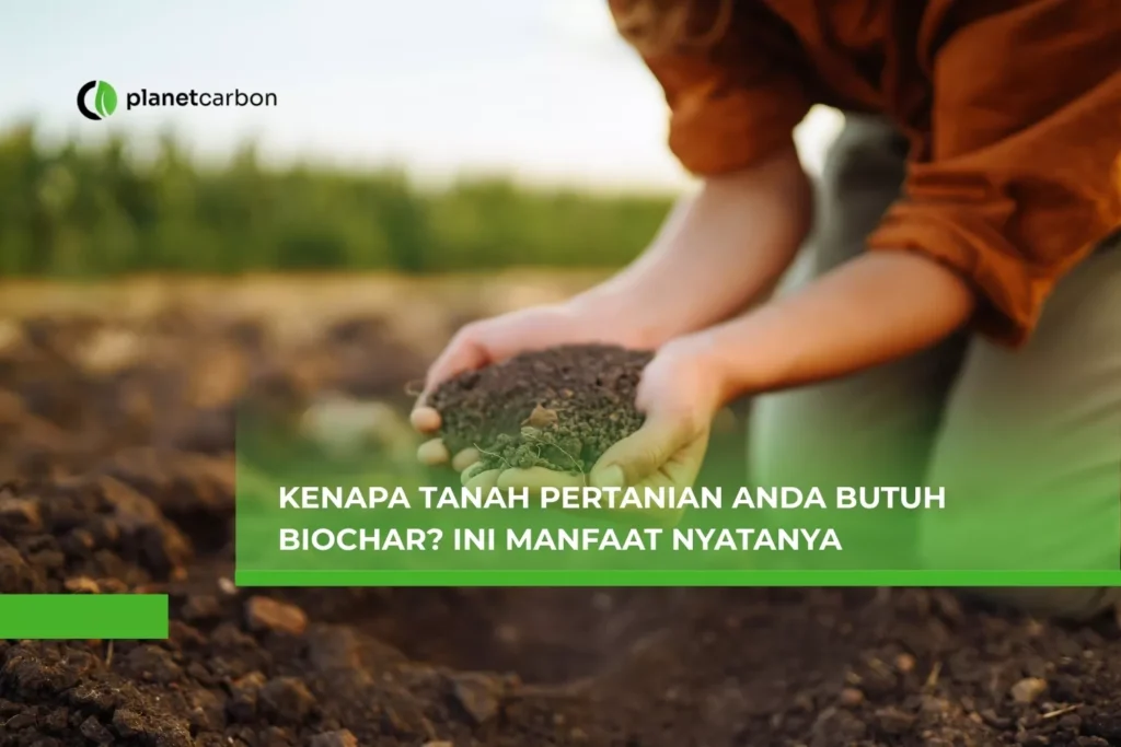 Kenapa Tanah Pertanian Anda Butuh Biochar? Ini Manfaat Nyatanya