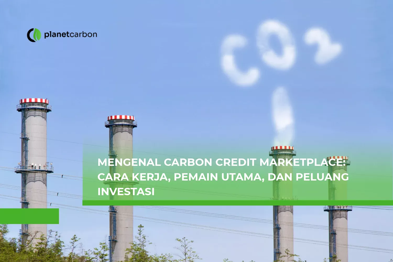 Mengenal Carbon Credit Marketplace Cara Kerja, Pemain Utama, dan Peluang Investasi