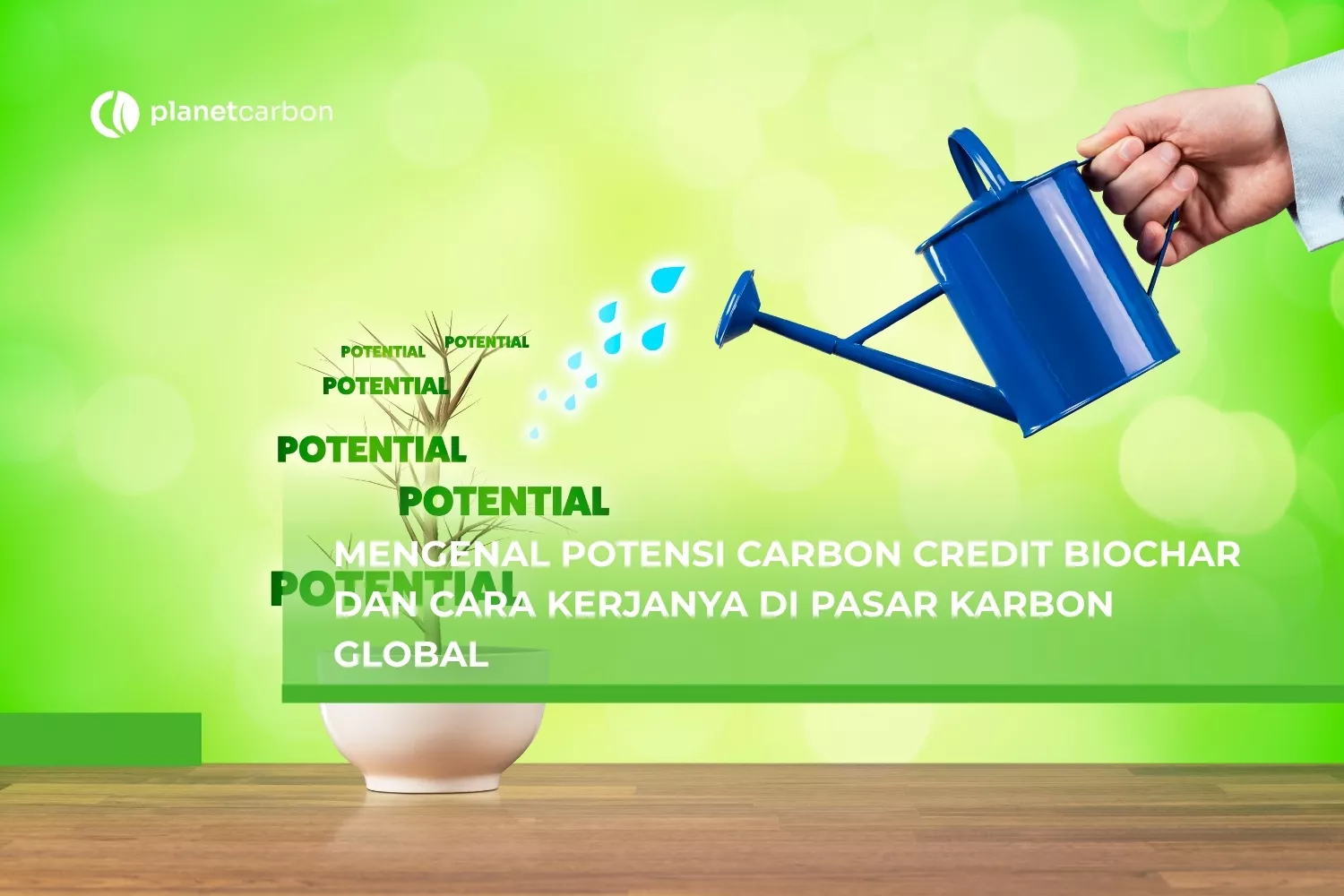 Mengenal Potensi Carbon Credit Biochar dan Cara Kerjanya di Pasar Karbon Global