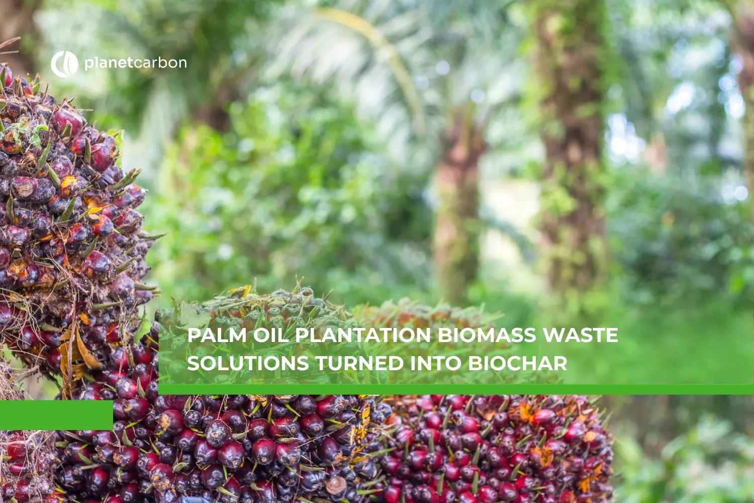 Palm Oil Plantation Biomass Waste Solutions Turned into Biochar