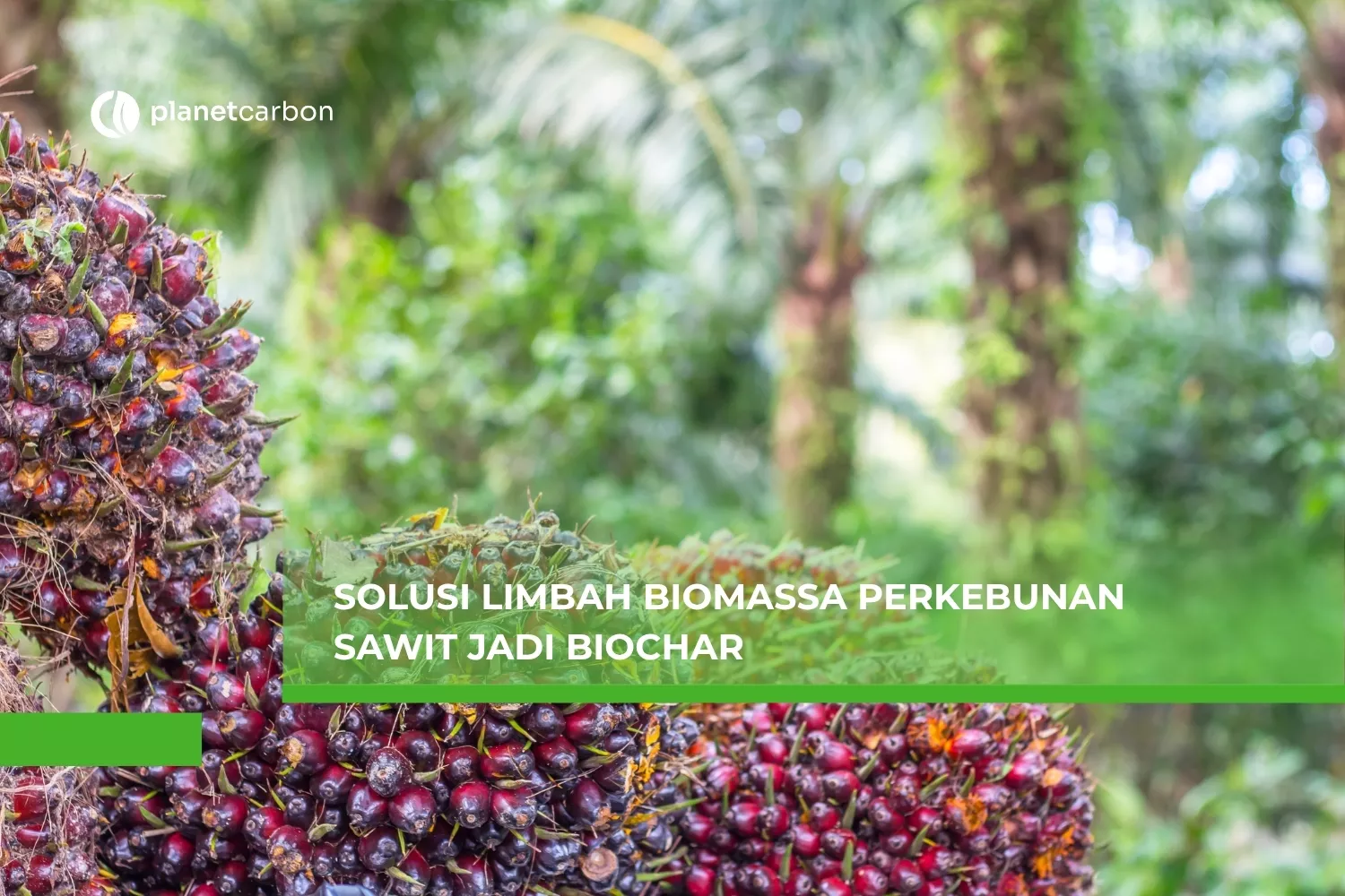 Solusi Limbah Biomassa Perkebunan Sawit Jadi Biochar