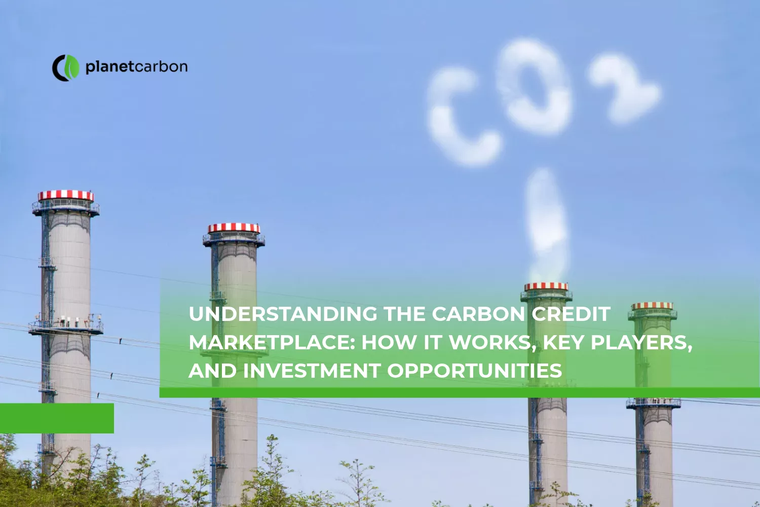 Understanding the Carbon Credit Marketplace How It Works, Key Players, and Investment Opportunities