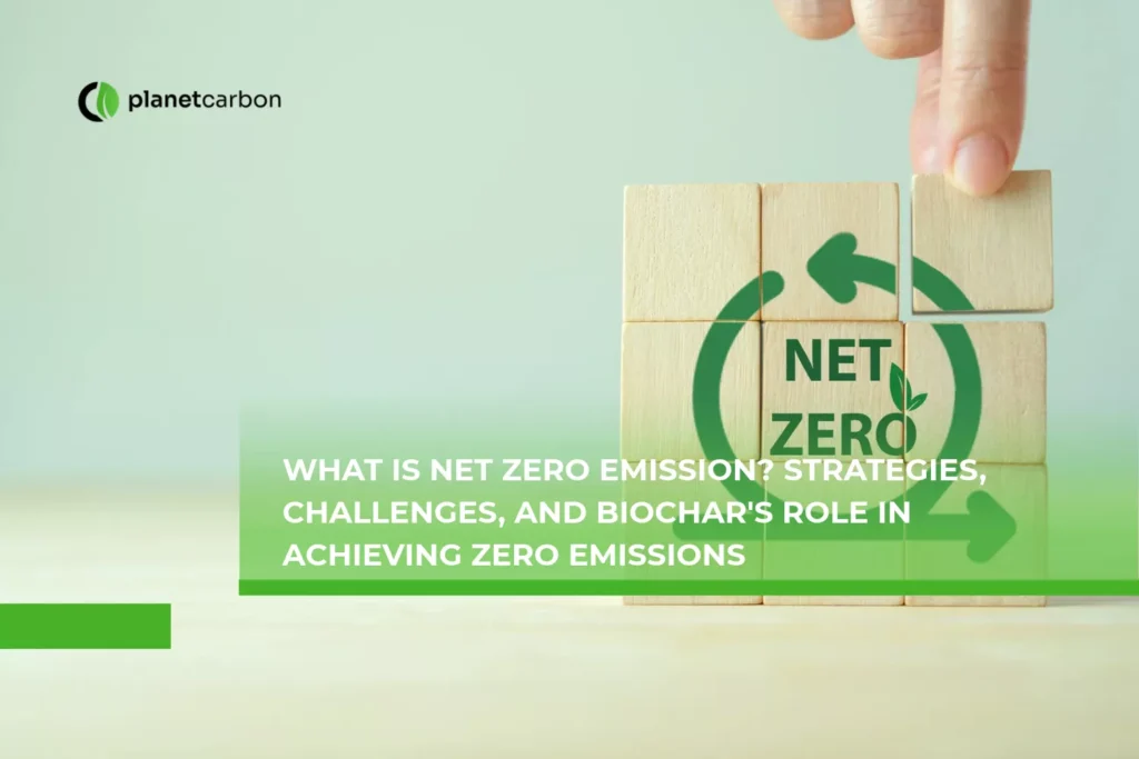 What is Net Zero Emission? Strategies, Challenges, and Biochar's Role in Achieving Zero Emissions