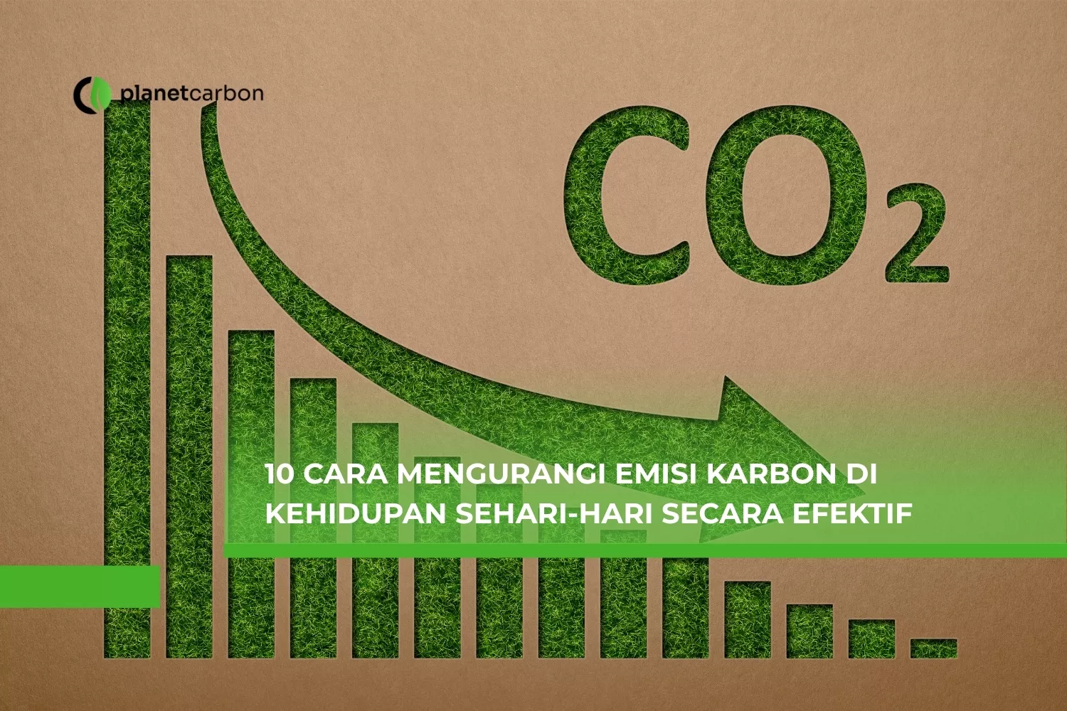 10 Cara Mengurangi Emisi Karbon di Kehidupan Sehari-hari Secara Efektif