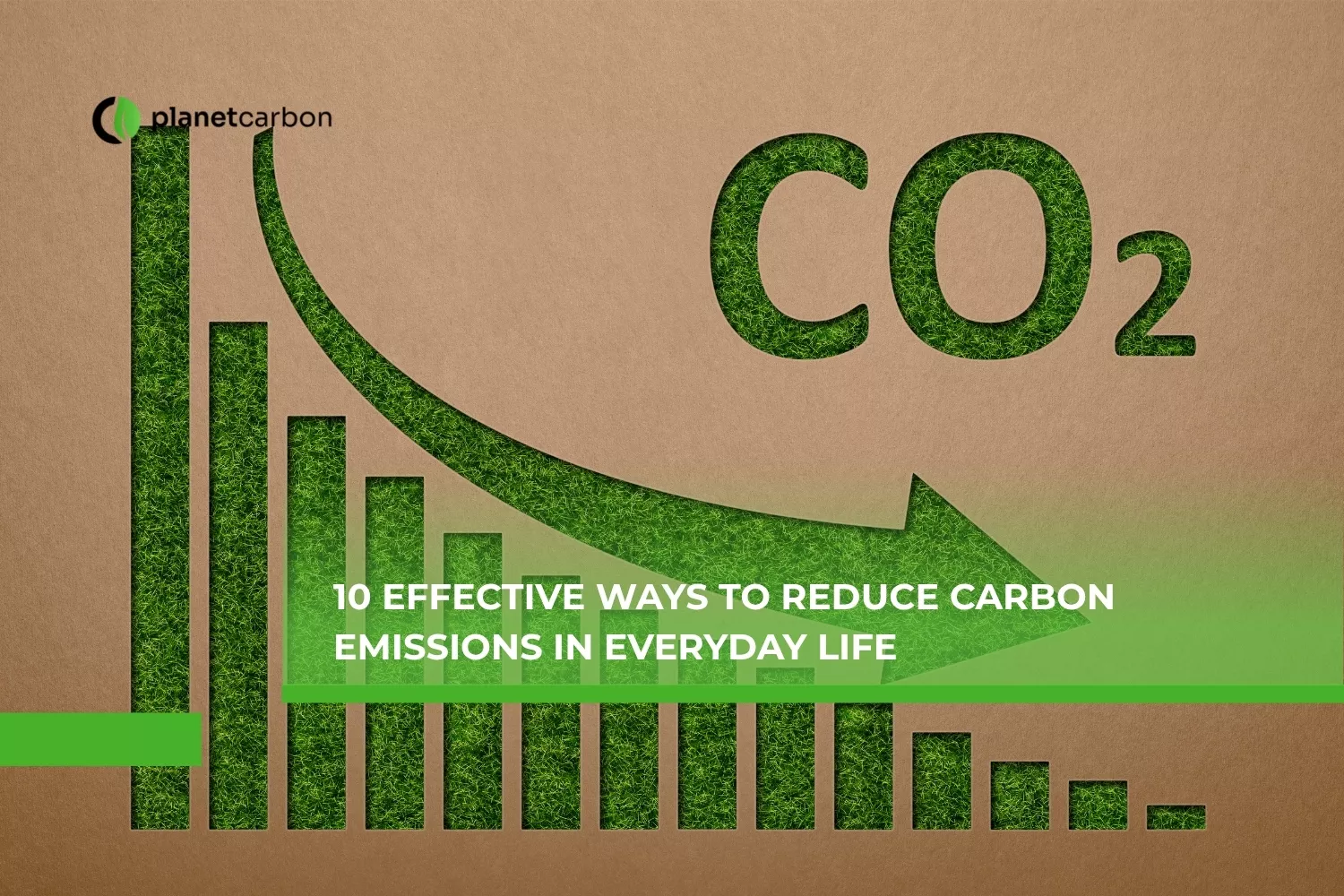 10 Effective Ways to Reduce Carbon Emissions in Everyday Life
