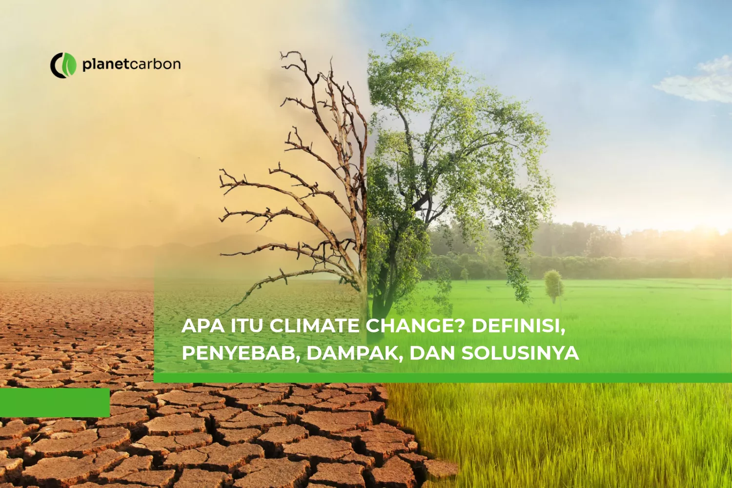 Apa Itu Climate Change? Definisi, Penyebab, Dampak, dan Solusinya