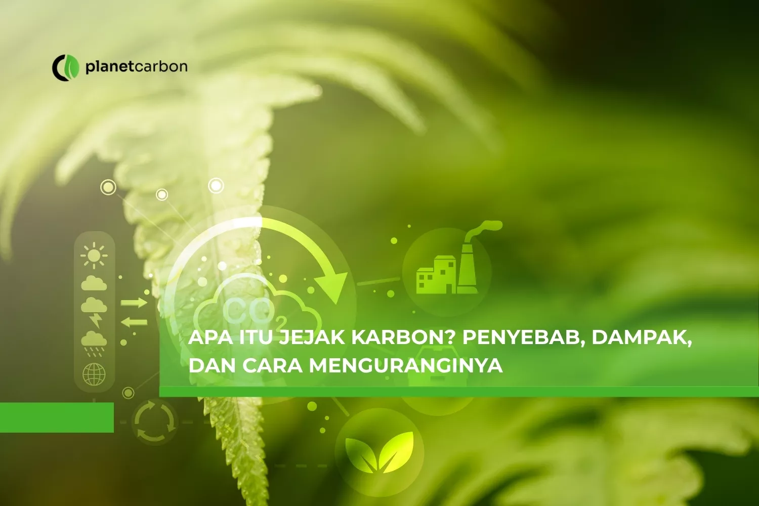 Apa itu Jejak Karbon? Penyebab, Dampak, dan Cara Menguranginya