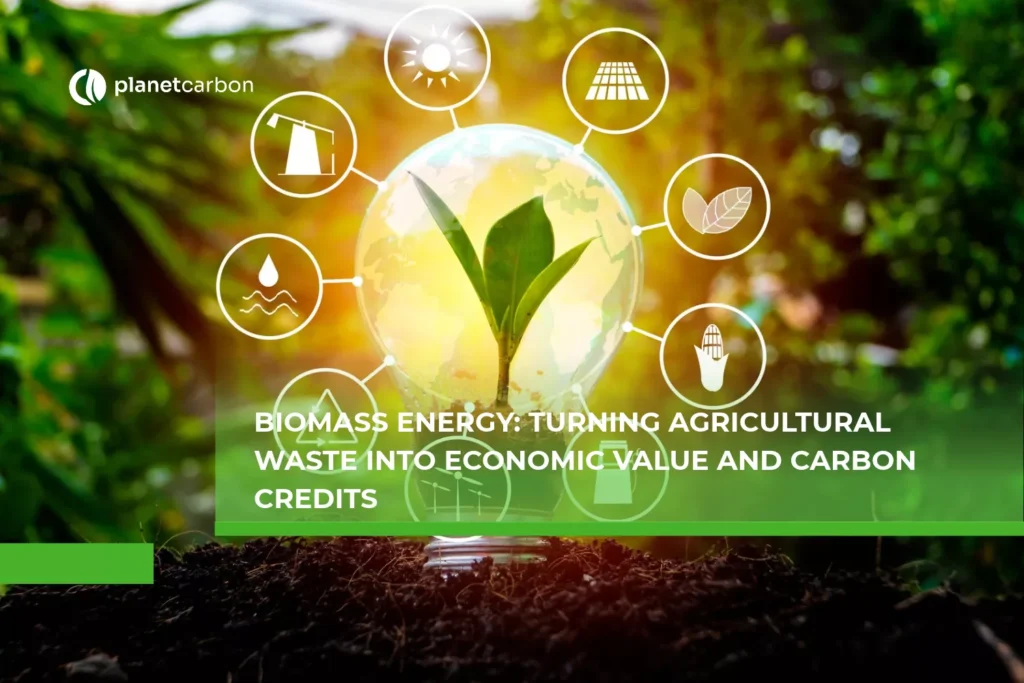 Biomass Energy Turning Agricultural Waste into Economic Value and Carbon Credits