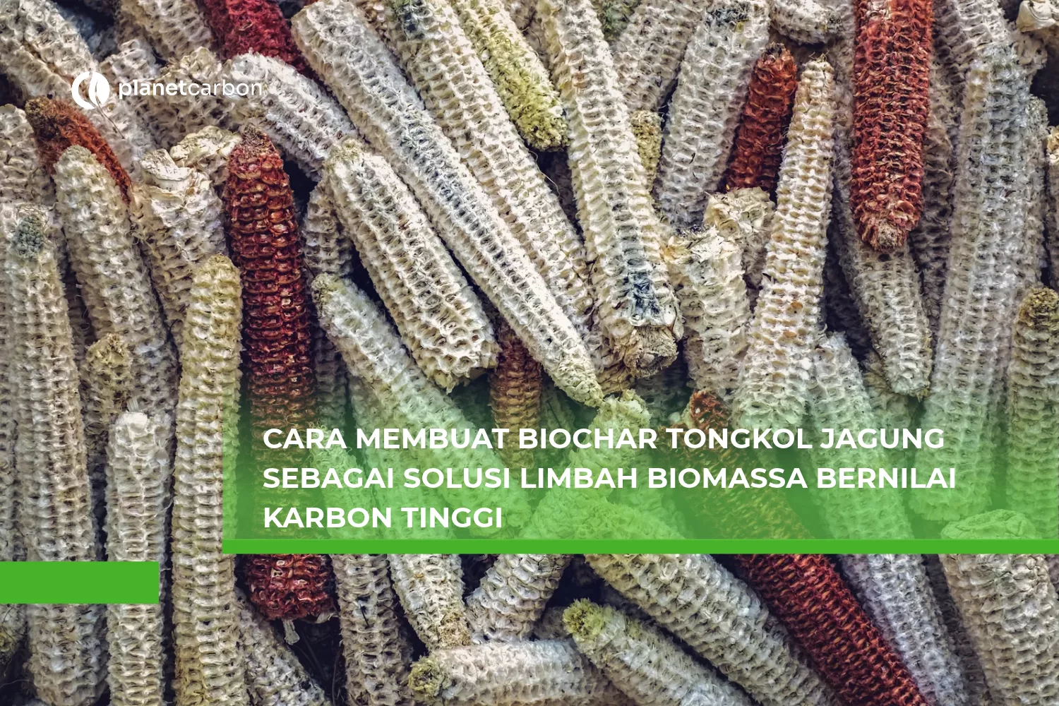 Cara Membuat Biochar Tongkol Jagung sebagai Solusi Limbah Biomassa Bernilai Karbon Tinggi