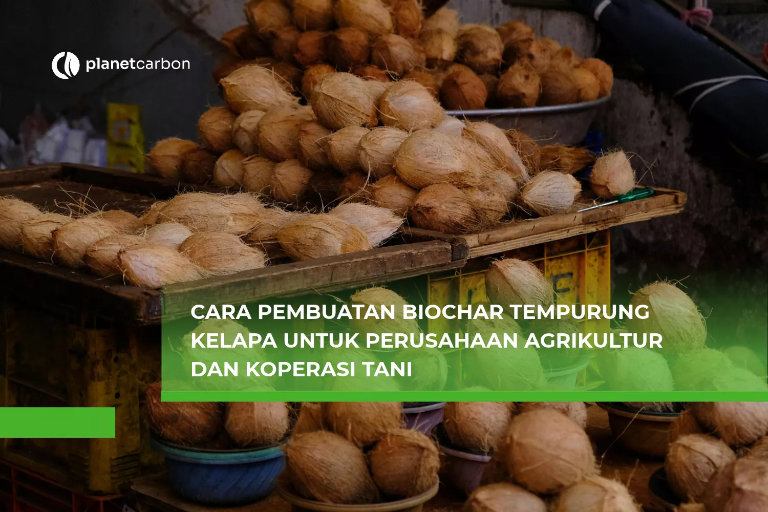 Cara Pembuatan Biochar Tempurung Kelapa untuk Perusahaan Agrikultur dan Koperasi Tani
