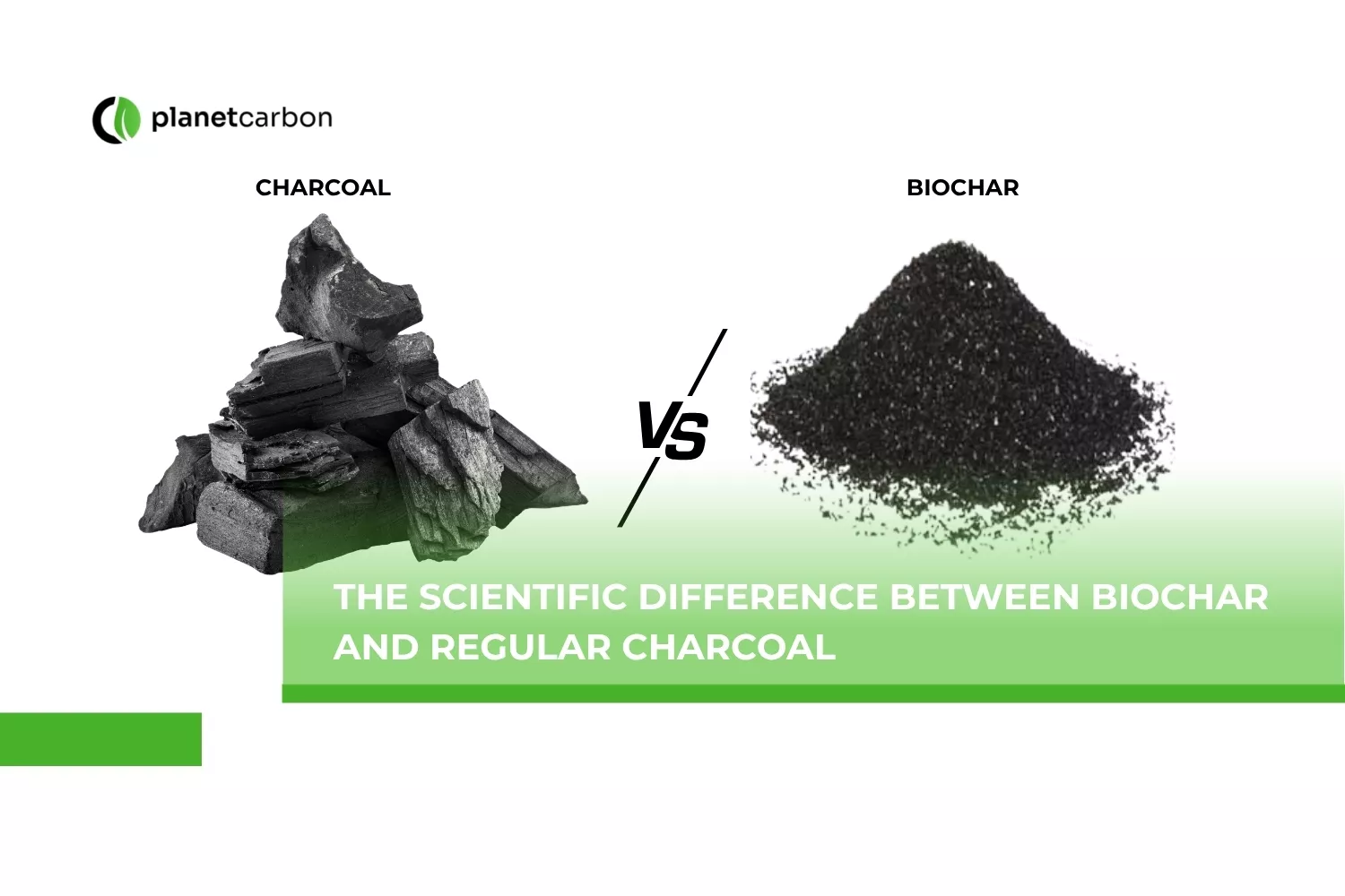 The Scientific Difference Between Biochar and Regular Charcoal