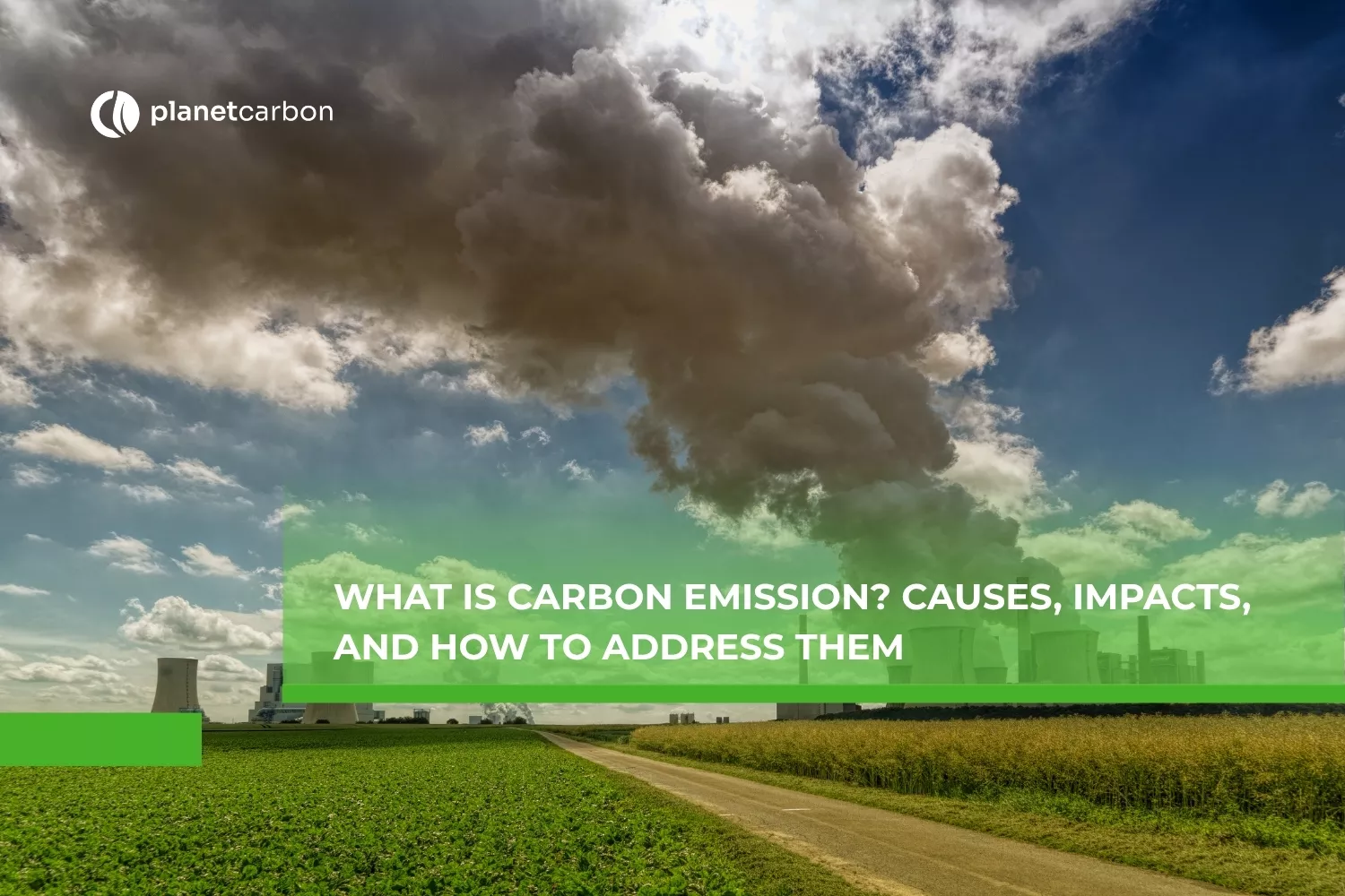 What is Carbon Emission? Causes, Impacts, and How to Address Them