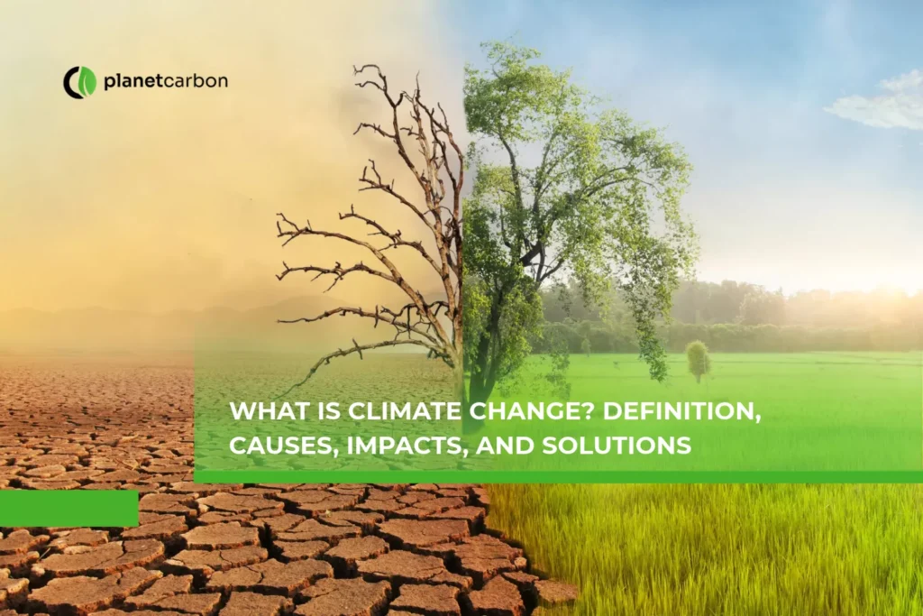 What is Climate Change? Definition, Causes, Impacts, and Solutions