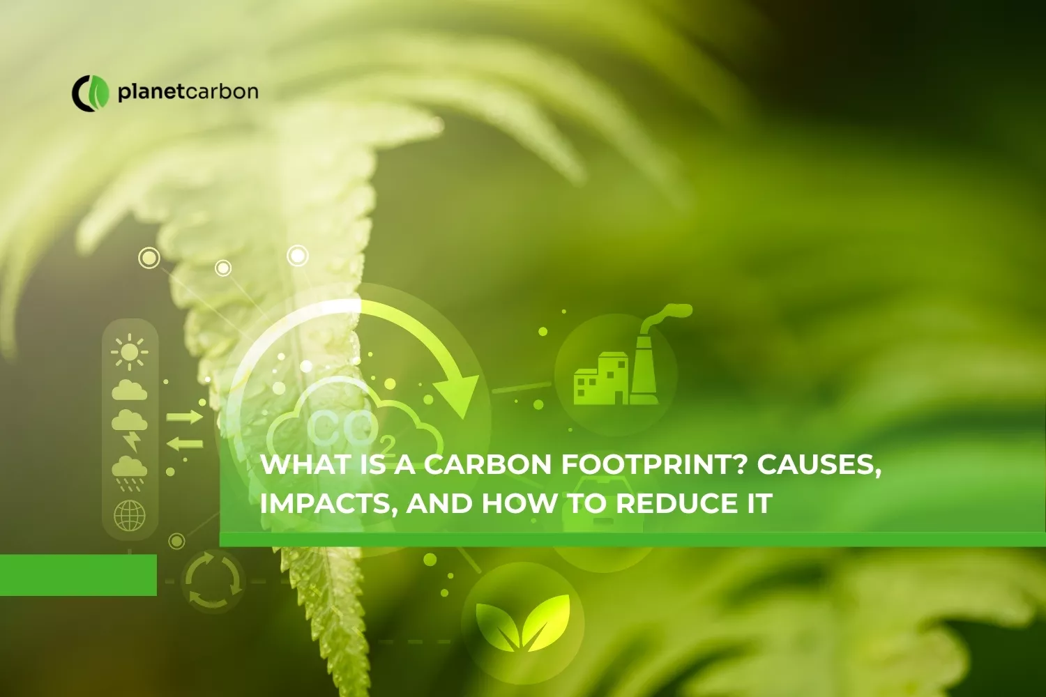 What is a Carbon Footprint? Causes, Impacts, and How to Reduce It