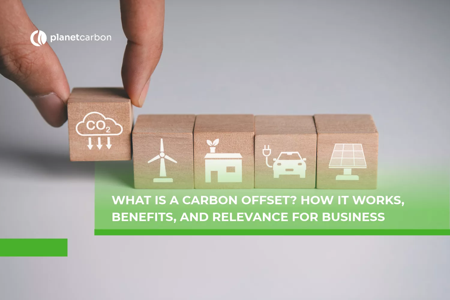 What is a Carbon Offset? How It Works, Benefits, and Relevance for Business